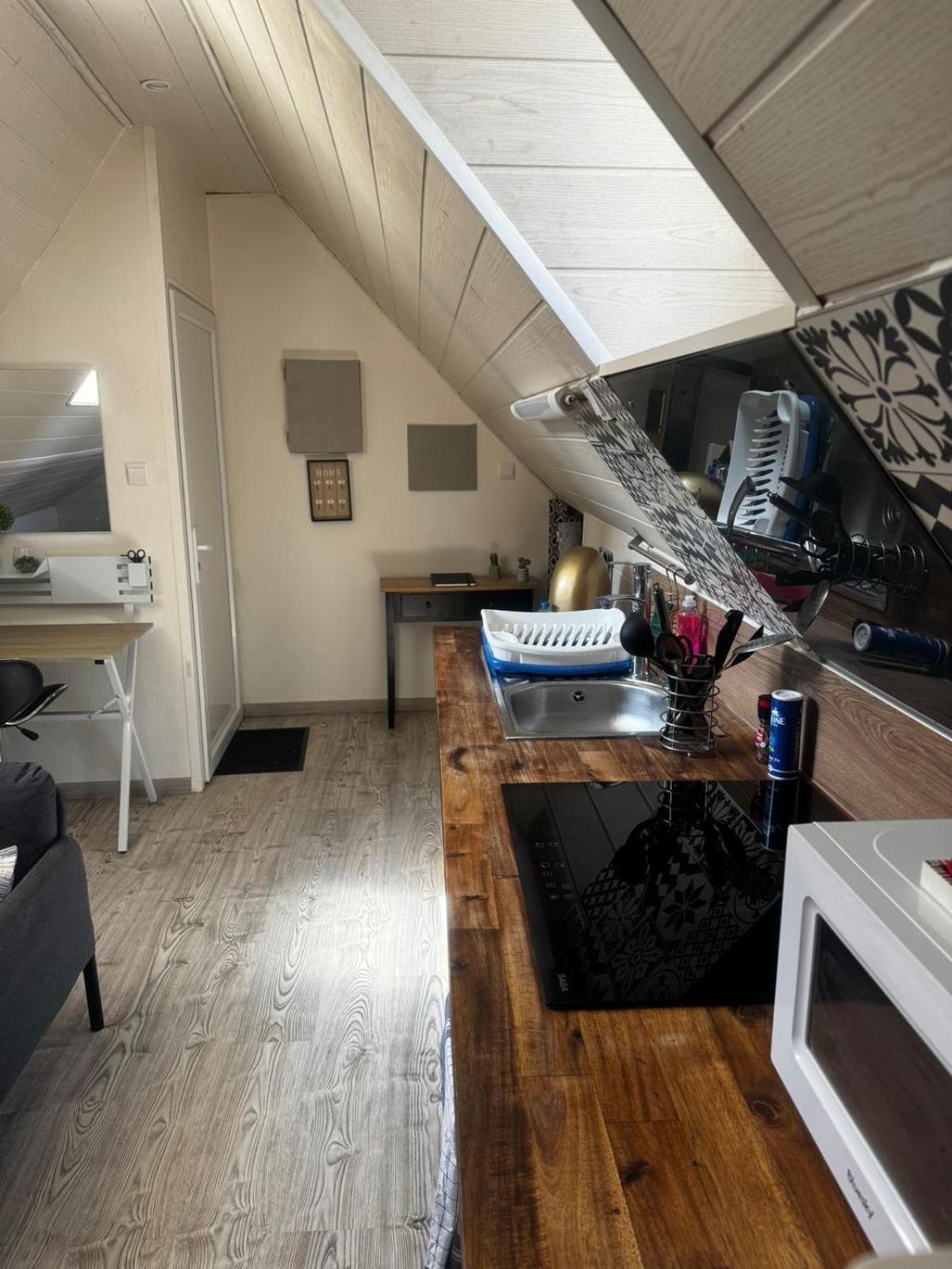 Magnifique F2 Du Bonheur Appartement Besançon Buitenkant foto