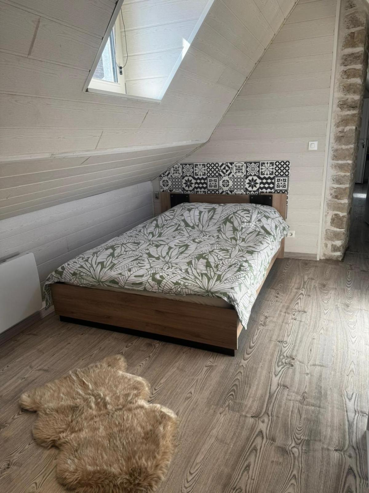 Magnifique F2 Du Bonheur Appartement Besançon Buitenkant foto