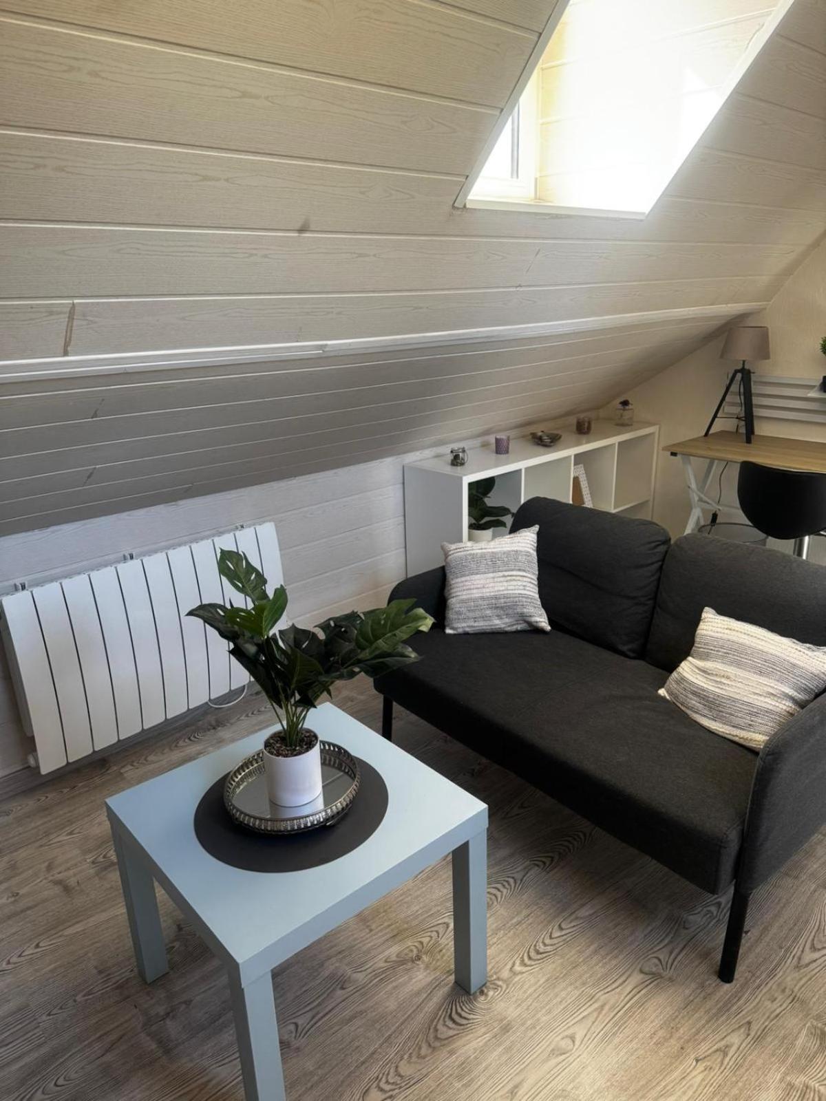 Magnifique F2 Du Bonheur Appartement Besançon Buitenkant foto